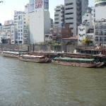 DSCN0785