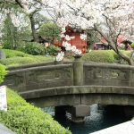 CIMG0833
