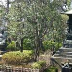 DSCN0755