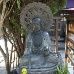 DSCN0769