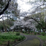 CIMG0577
