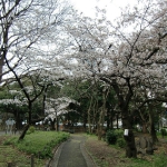 CIMG0578