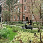 CIMG0585