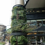 CIMG0587