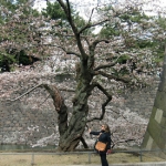 CIMG0615