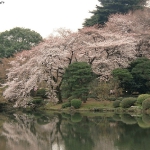CIMG0746