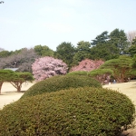 DSCN0820