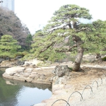 DSCN0823