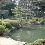 DSCN0824
