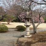 DSCN0825
