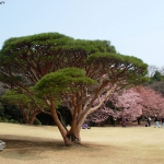 DSCN0826