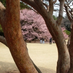 DSCN0827