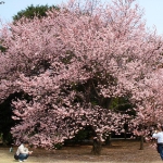 DSCN0829