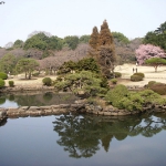 DSCN0831