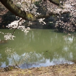 DSCN5604