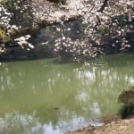 DSCN5605