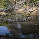DSCN5611