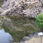 DSCN5612