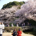 DSCN5615