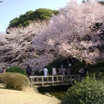 DSCN5616