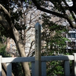 DSCN0716