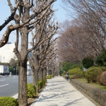 DSCN0699