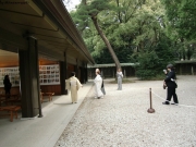 CIMG0782
