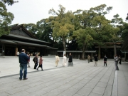 CIMG0783