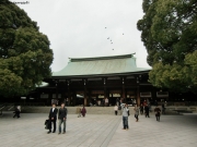 CIMG0795