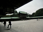 CIMG0796