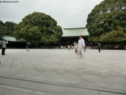 CIMG0799