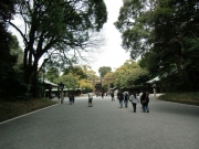 CIMG0801