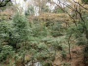 CIMG0802