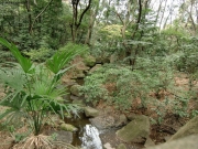 CIMG0803