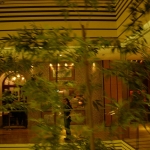 dscn0938