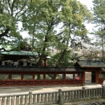 cimg1155