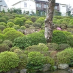 dscn5671