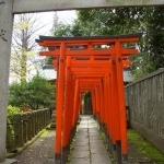 dscn5683