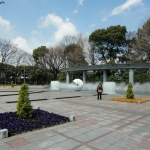 cimg0595