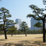 dscn0667