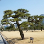 dscn0668