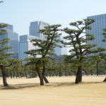 dscn0669