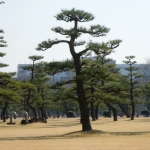 dscn0671