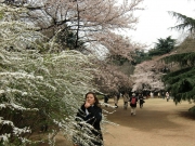 cimg0718