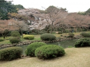 cimg0730