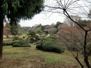 cimg0738