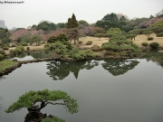 cimg0739