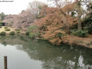 cimg0740