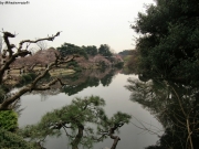 cimg0744