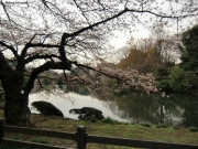 cimg0745